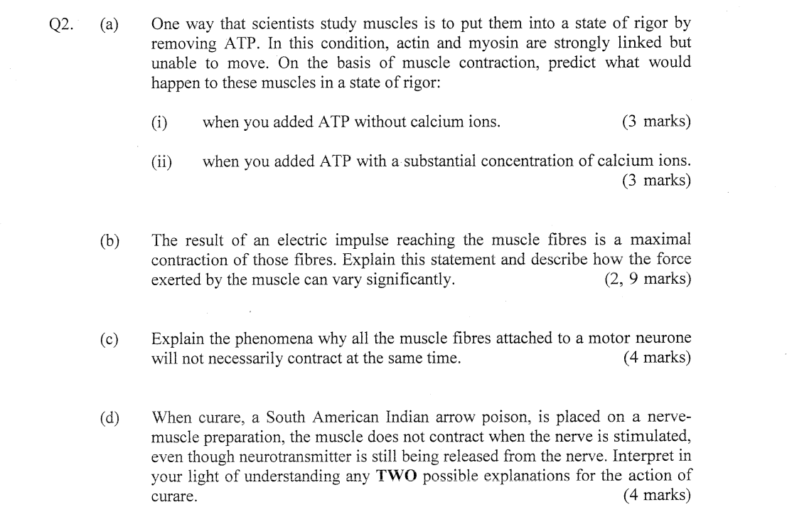 Q2 A One Way That Scientists Study Muscles Is To Put Them Into A State Of Rigor By Removing Atp In This Condition 1