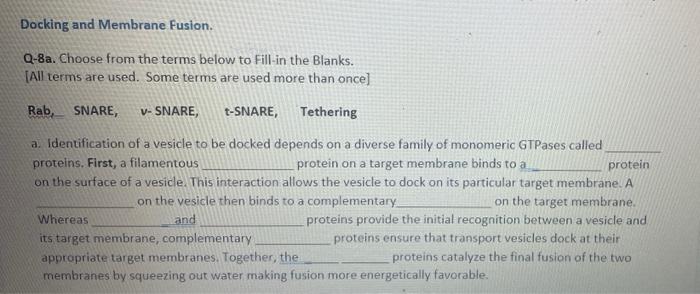 Docking And Membrane Fusion Q 8a Choose From The Terms Below To Fill In The Blanks All Terms Are Used Some Terms Ar 1