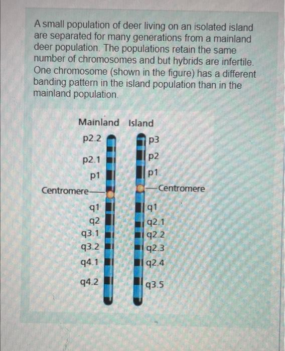 In A Mand Land Iyond Deer Recombination Takes Place In Band Qt Of The Homologout Chromosomes Complete The Dogtam Of The 4