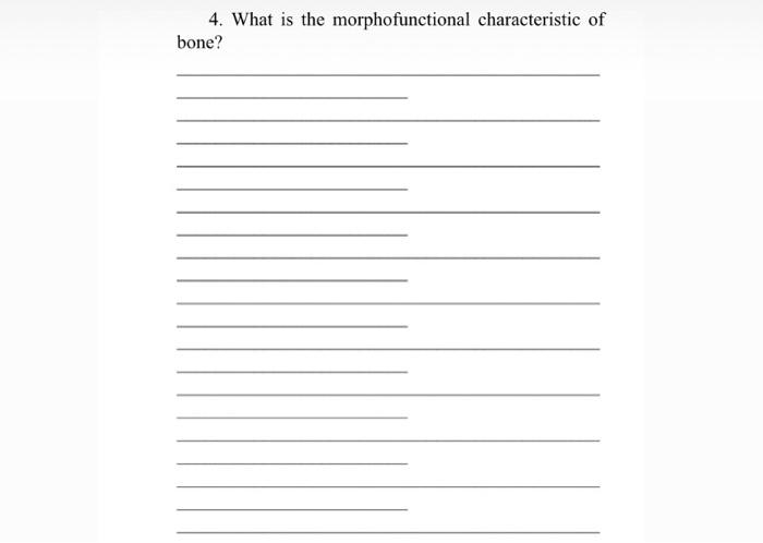 4 What Is The Morphofunctional Characteristic Of Bone 1
