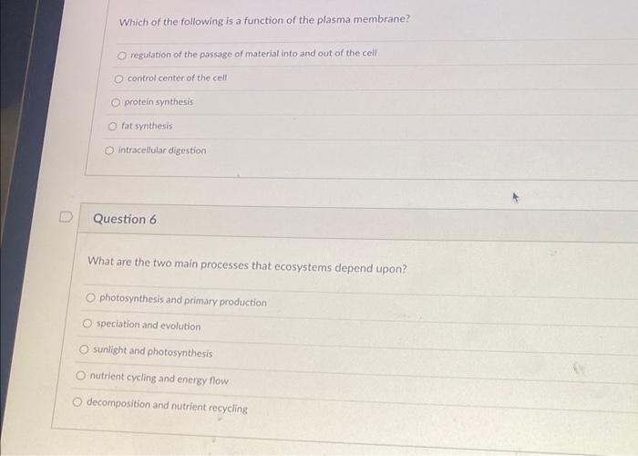 How Does Prophase I Differ From Prophase Ii Durine Prophase There Is One Diploid Cell During Prophase If There Are Two 3