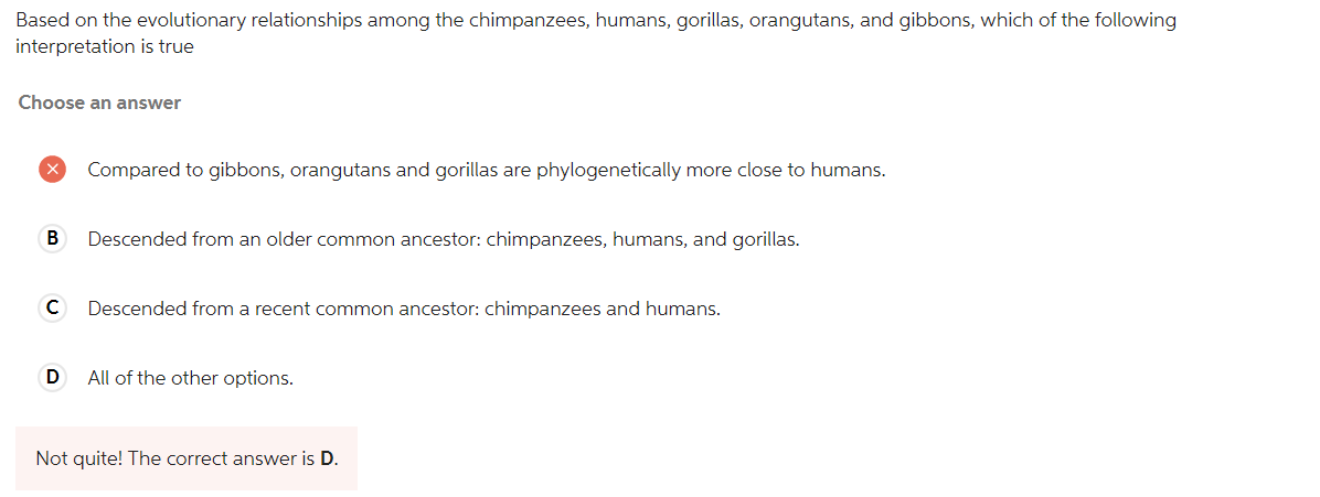 Based On The Evolutionary Relationships Among The Chimpanzees Humans Gorillas Orangutans And Gibbons Which Of The F 1