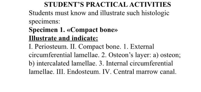 Student S Practical Activities Students Must Know And Illustrate Such Histologic Specimens Specimen 1 Compact Bone 1