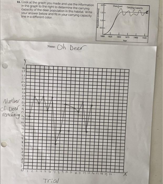 20 Overshoot Carrying Capacity 11 Look At The Graph You Made And Use The Information In The Graph To The Right To Deter 1