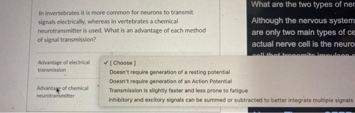 What Are The Two Types Of Ner In Invertebrates It Is More Common For Neurons To Transmit Signals Electrically Whereas I 1
