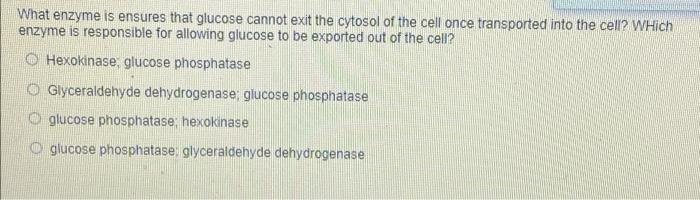 What Enzyme Is Ensures That Glucose Cannot Exit The Cytosol Of The Cell Once Transported Into The Cell Which Enzyme Is 1