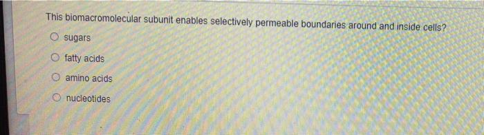 What Enzyme Is Ensures That Glucose Cannot Exit The Cytosol Of The Cell Once Transported Into The Cell Which Enzyme Is 2