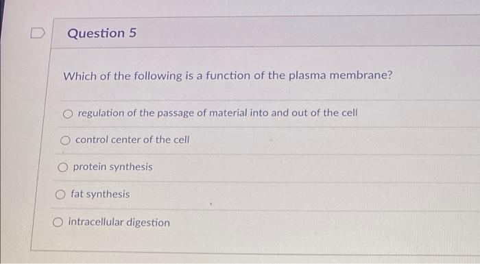 How Does Prophase I Differ From Prophase Ii During Prophase There Is One Diploid Cell During Prophase Ii There Are Two 3