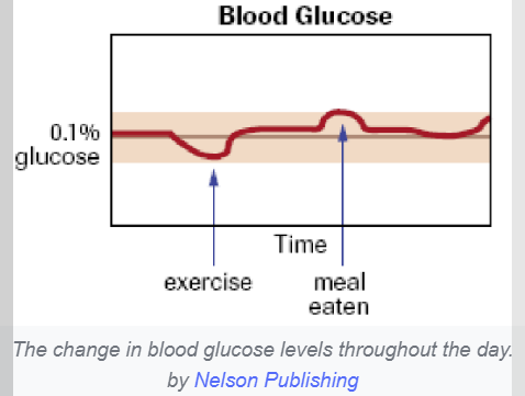 Interpret The Three Graphs About Changes In Homeostasis Do These Changes Describe Positive Feedback Or Negative Feedbac 1