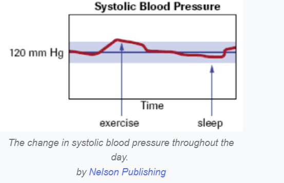 Interpret The Three Graphs About Changes In Homeostasis Do These Changes Describe Positive Feedback Or Negative Feedbac 2