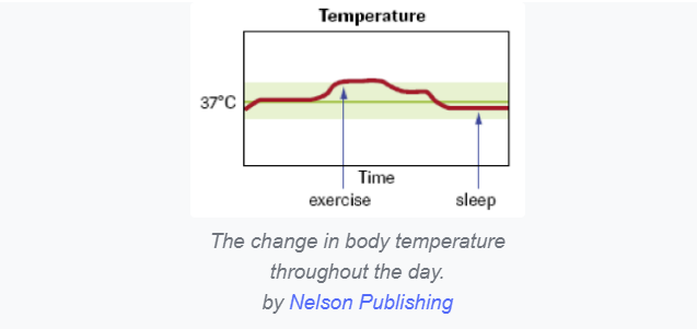 Interpret The Three Graphs About Changes In Homeostasis Do These Changes Describe Positive Feedback Or Negative Feedbac 3