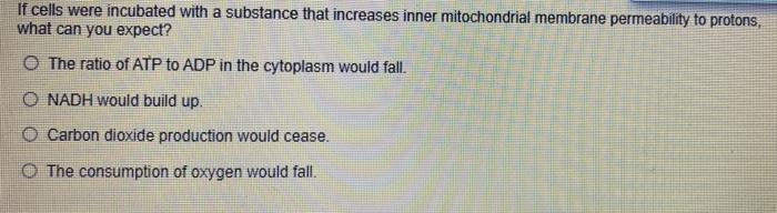 Step 6 Of The Citric Acid Cycle Is Catalyzed By Succinate Dehydrogenase Keeping In Mind That Dehydrogenases Catalyze Re 2