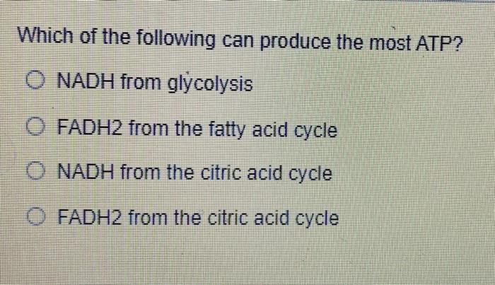 Which Component Of The Electron Transport Chain Is Required To Combine The Pair Of Electrons With Molecular Oxygen O Cy 3