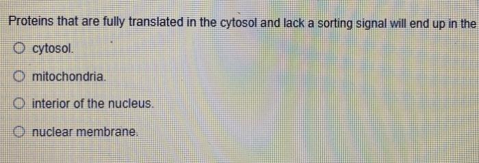 Proteins That Are Fully Translated In The Cytosol And Lack A Sorting Signal Will End Up In The O Cytosol Mitochondria 1