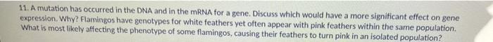 11 A Mutation Has Occurred In The Dna And In The Mrna For A Gene Discuss Which Would Have A More Significant Effect On 1
