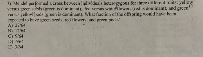 7 Mendel Performed A Cross Between Individuals Heterozygous For Three Different Traits Yellow Versus Green Seeds Gree 1