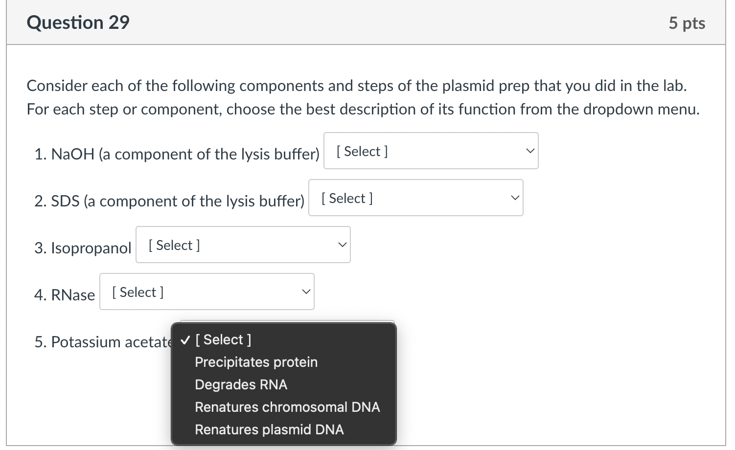 Question 29 5 Pts Consider Each Of The Following Components And Steps Of The Plasmid Prep That You Did In The Lab For E 1