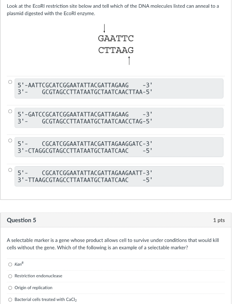Look At The Ecori Restriction Site Below And Tell Which Of The Dna Molecules Listed Can Anneal To A Plasmid Digested Wit 1