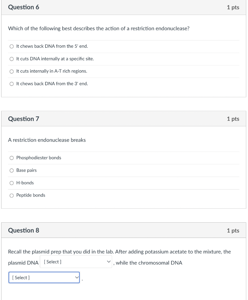 Question 6 1 Pts Which Of The Following Best Describes The Action Of A Restriction Endonuclease O It Chews Back Dna Fro 1