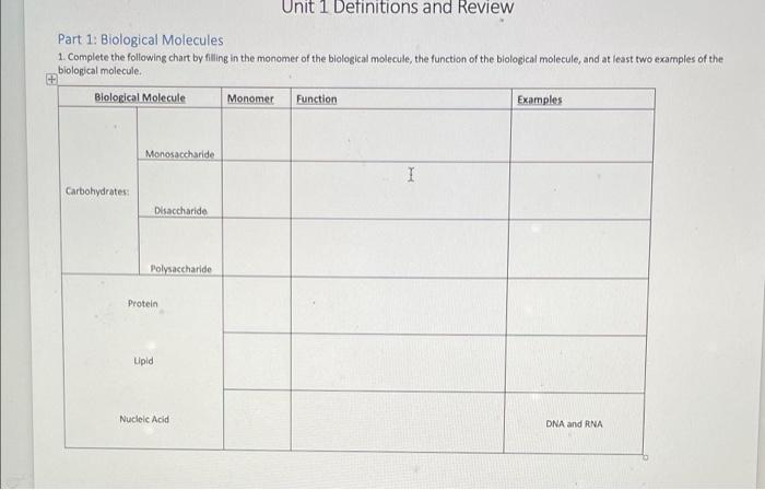 Unit 1 Definitions And Review Part 1 Biological Molecules 1 Complete The Following Chart By Filling In The Monomer Of 1