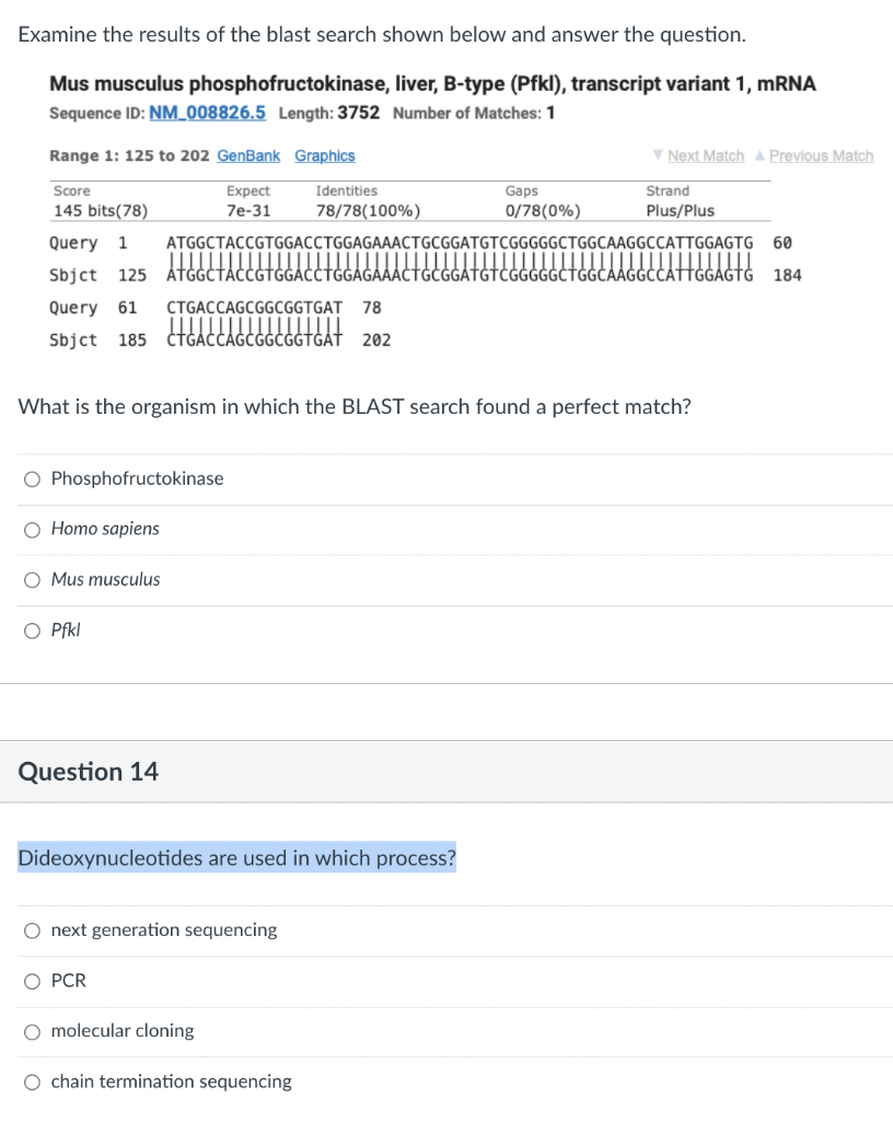 Examine The Results Of The Blast Search Shown Below And Answer The Question Mus Musculus Phosphofructokinase Liver B 1