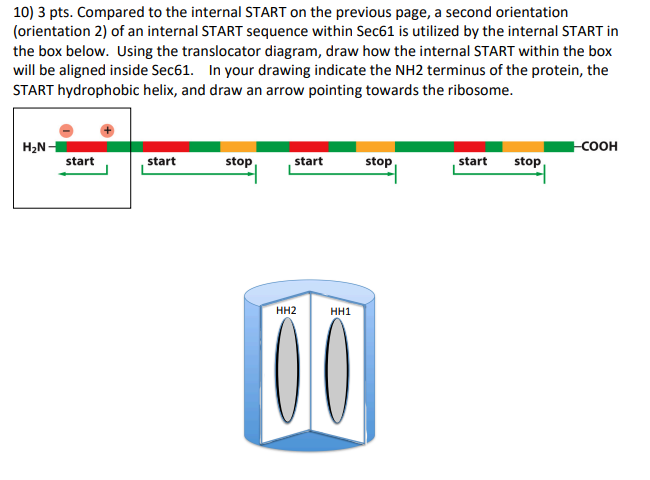 10 3 Pts Compared To The Internal Start On The Previous Page A Second Orientation Orientation 2 Of An Internal Star 1