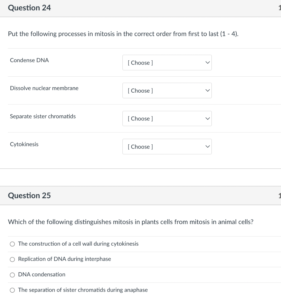 Question 24 Put The Following Processes In Mitosis In The Correct Order From First To Last 1 4 Condense Dna Choose 1