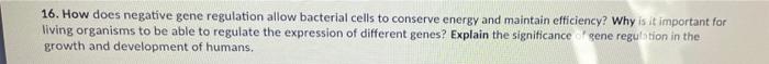 16 How Does Negative Gene Regulation Allow Bacterial Cells To Conserve Energy And Maintain Efficiency Why Is It Import 1
