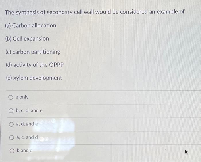 The Synthesis Of Secondary Cell Wall Would Be Considered An Example Of A Carbon Allocation B Cell Expansion C Carb 1