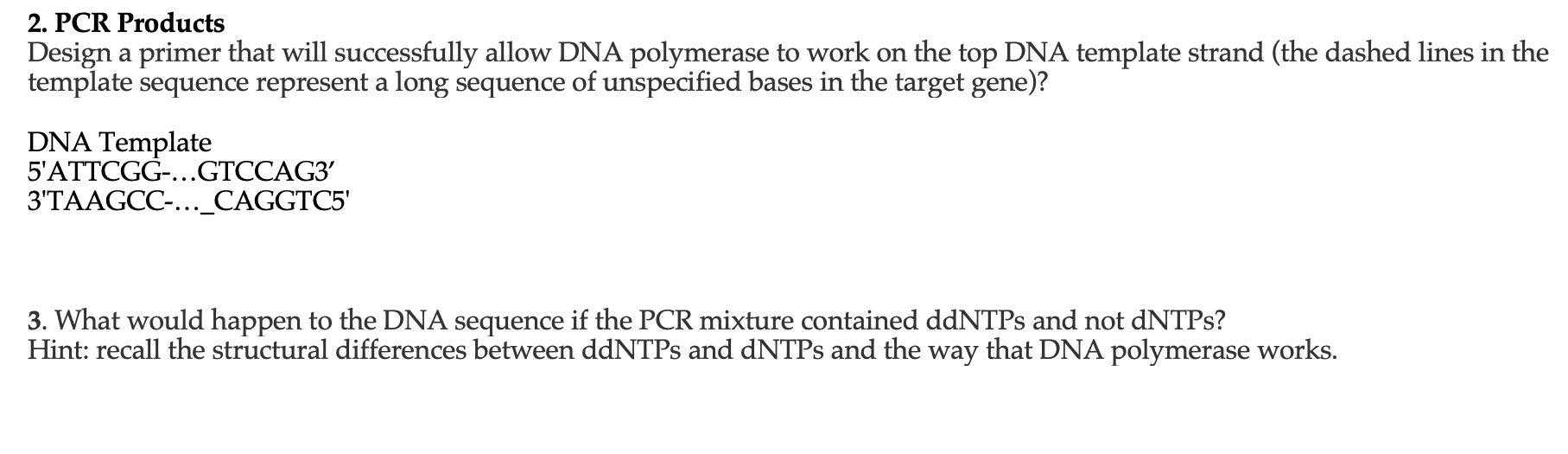 2 Pcr Products Design A Primer That Will Successfully Allow Dna Polymerase To Work On The Top Dna Template Strand The 1