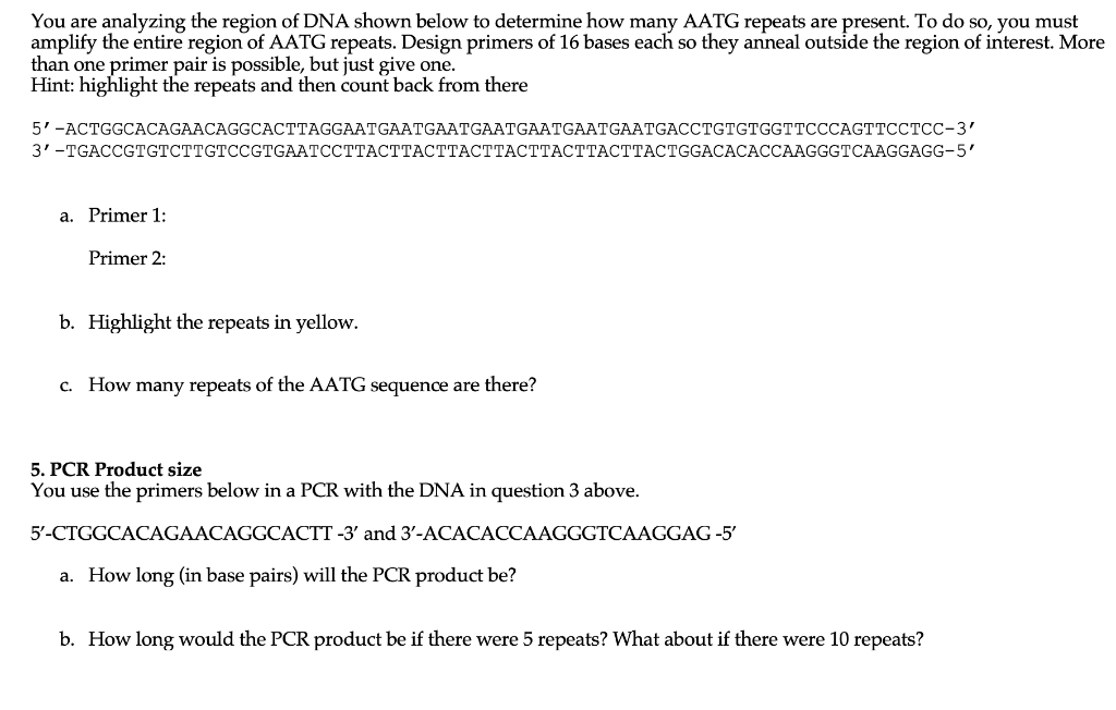 You Are Analyzing The Region Of Dna Shown Below To Determine How Many Aatg Repeats Are Present To Do So You Must Ampli 1
