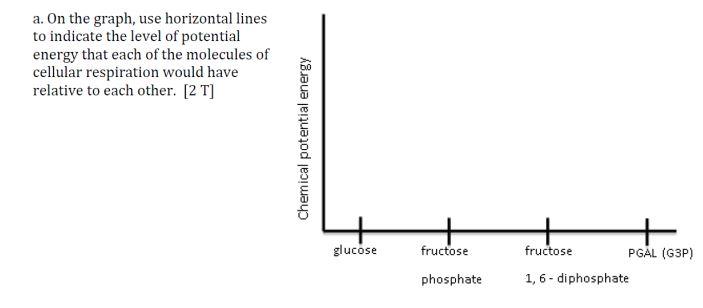 A On The Graph Use Horizontal Lines To Indicate The Level Of Potential Energy That Each Of The Molecules Of Cellular R 1