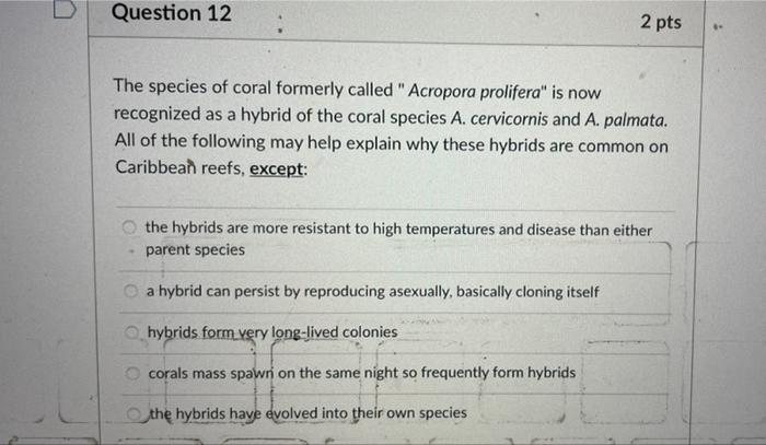 Question 12 2 Pts The Species Of Coral Formerly Called Acropora Prolifera Is Now Recognized As A Hybrid Of The Coral S 1