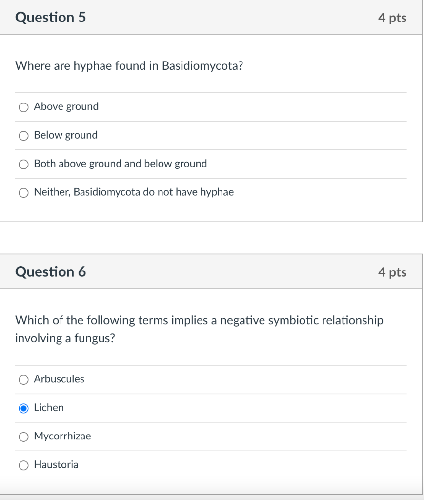 Question 5 4 Pts Where Are Hyphae Found In Basidiomycota Above Ground Below Ground Both Above Ground And Below Ground O 1