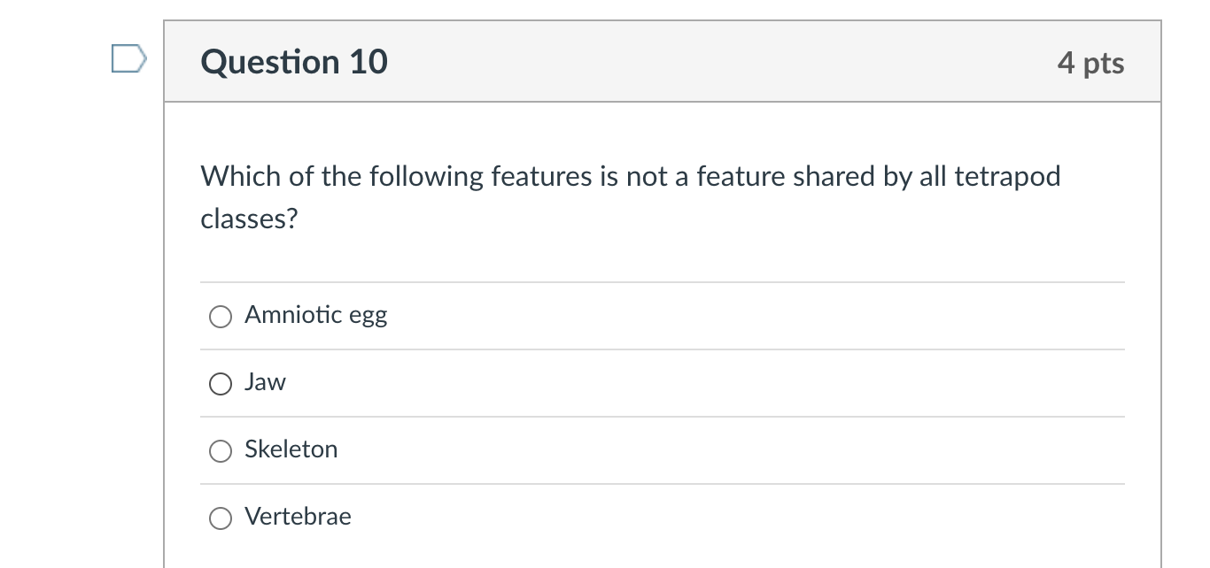 Question 10 4 Pts Which Of The Following Features Is Not A Feature Shared By All Tetrapod Classes Amniotic Egg Jaw Skel 1