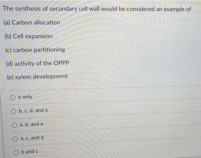 The Synthesis Of Secondary Cell Wall Would Be Considered An Example Of A Carbon Allocation B Cell Expansion C Carb 1