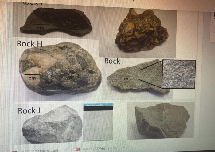 Gm Rock H Rock 1 Cm Cm Rock J Cm Fo Mineral Of Gego 112 Week 23 Pdf Faculty Help Student Help Reaction To Hca Rock C 1