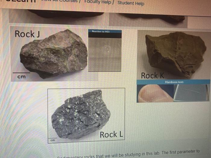 Gm Rock H Rock 1 Cm Cm Rock J Cm Fo Mineral Of Gego 112 Week 23 Pdf Faculty Help Student Help Reaction To Hca Rock C 2