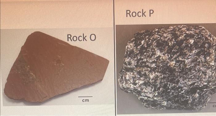 Student Help Rock N Rock M Cm Reaction With Hcl Cm Rock P Rock O Cm These Are Four Metamorphic Rocks Each Sample Ca 2