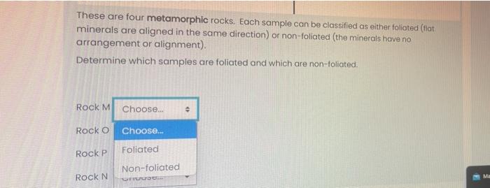Student Help Rock N Rock M Cm Reaction With Hcl Cm Rock P Rock O Cm These Are Four Metamorphic Rocks Each Sample Ca 3