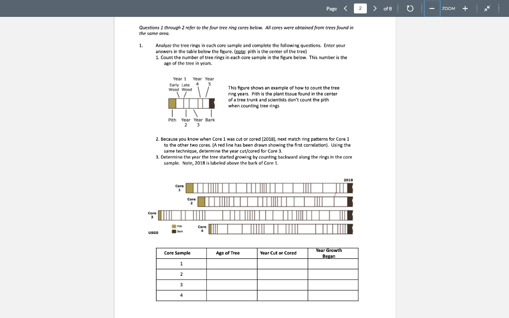 Page 2 Of 8 0 Zoom Questions 1 Through 2 Refer To The Four Tree Ring Cores Below All Cores Were Obtoined From Trees 1