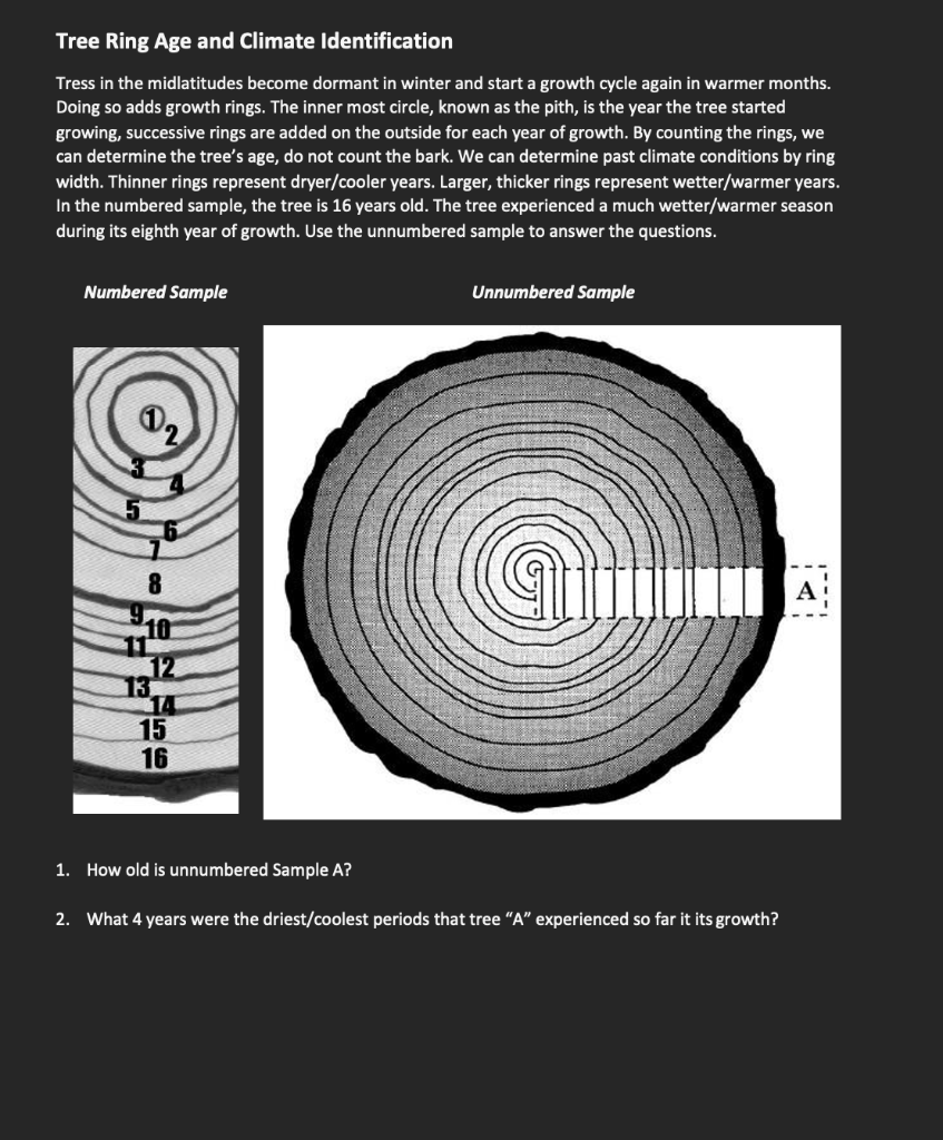 Tree Ring Age And Climate Identification Tress In The Midlatitudes Become Dormant In Winter And Start A Growth Cycle Aga 1