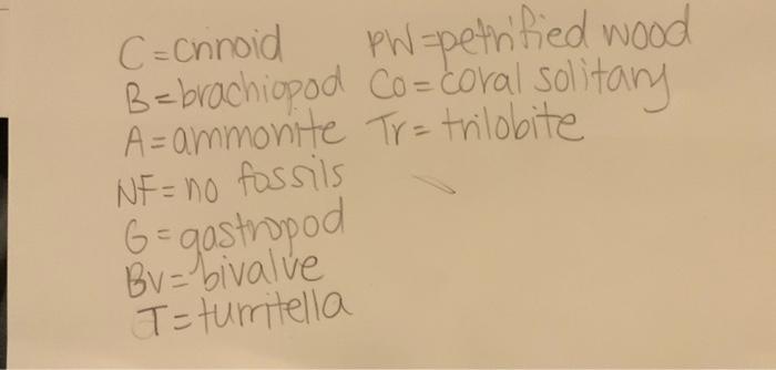 10 Why Is There A Layer With No Fossils This Is Because Certain Rocks Don T Contain Fossils For How They Are Formed A 2