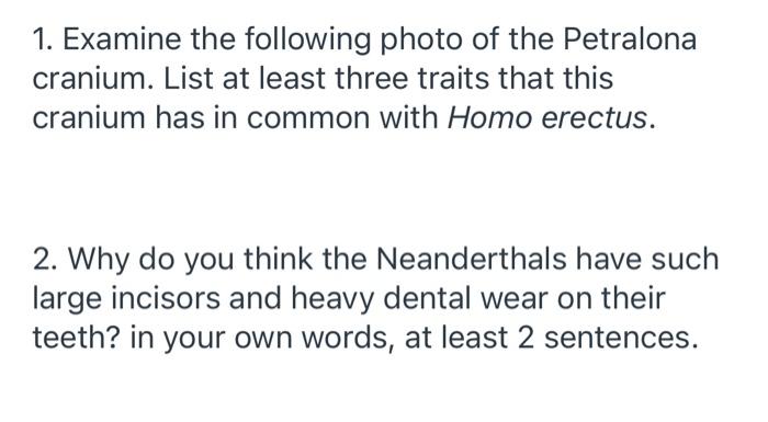 1 Examine The Following Photo Of The Petralona Cranium List At Least Three Traits That This Cranium Has In Common With 1