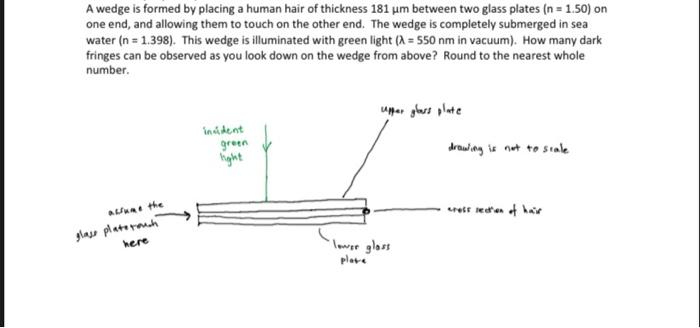 A Wedge Is Formed By Placing A Human Hair Of Thickness 181 Um Between Two Glass Plates N 1 50 On One End And Allowi 1