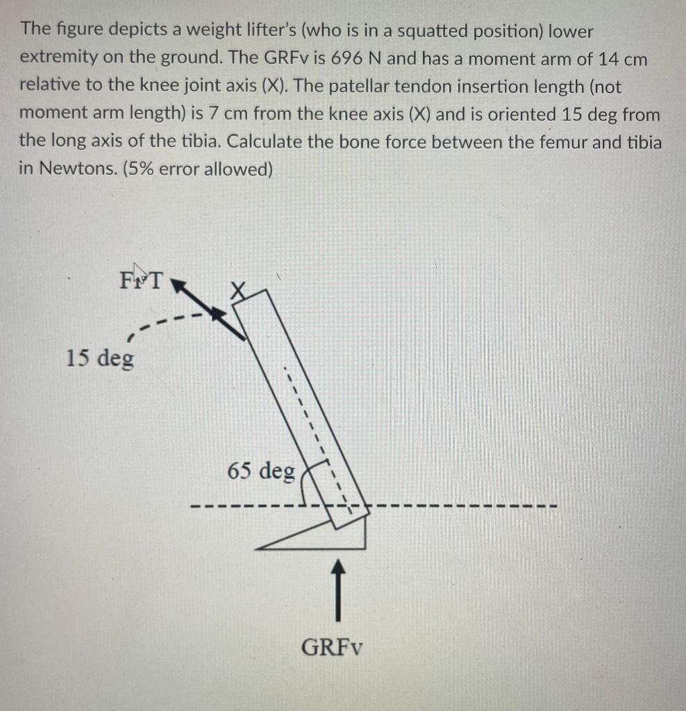 The Figure Depicts A Weight Lifter S Who Is In A Squatted Position Lower Extremity On The Ground The Grfv Is 696 N An 1
