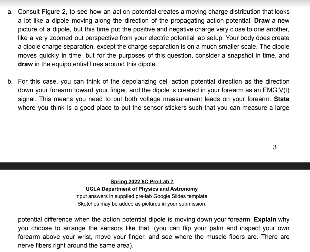A Consult Figure 2 To See How An Action Potential Creates A Moving Charge Distribution That Looks A Lot Like A Dipole 1
