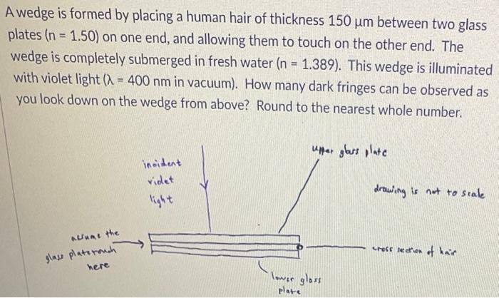A Wedge Is Formed By Placing A Human Hair Of Thickness 150 Um Between Two Glass Plates N 1 50 On One End And Allowi 1
