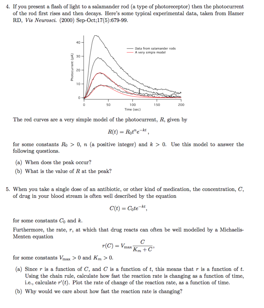 4 If You Present A Flash Of Light To A Salamander Rod A Type Of Photoreceptor Then The Photocurrent Of The Rod First 1