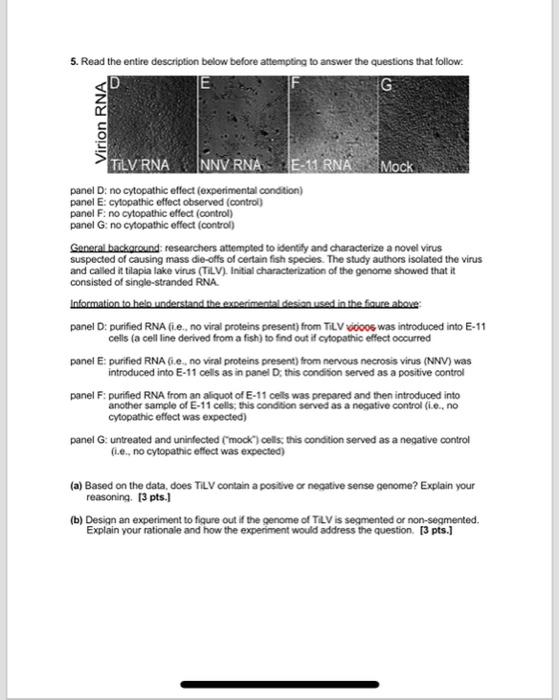 5 Read The Entire Description Below Before Attempting To Answer The Questions That Follow E G G Virion Rna Tilv Rna Nn 1